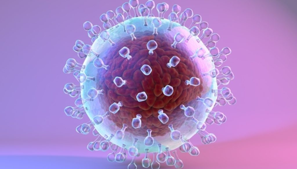 celula_hcv_hepato