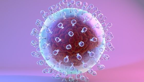 celula_hcv_hepato