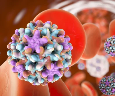 hepatitaB