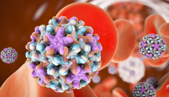 hepatitaB